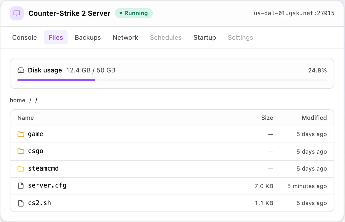 Counter-Strike 2 game panel — full file manager