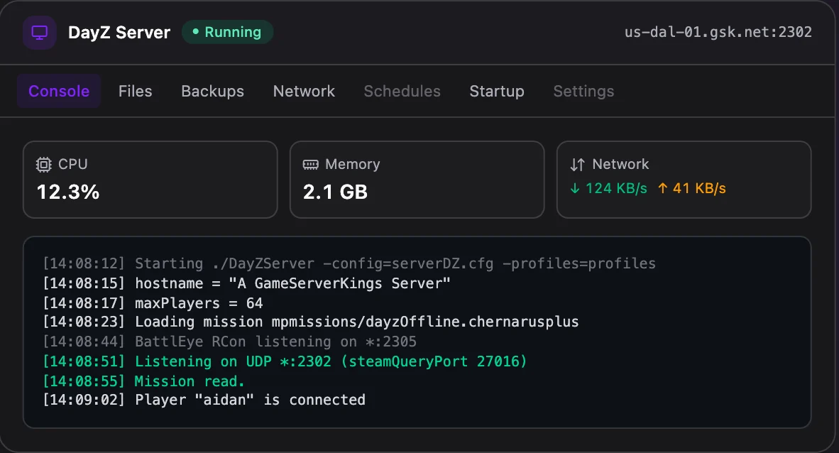 DayZ game panel — live server console