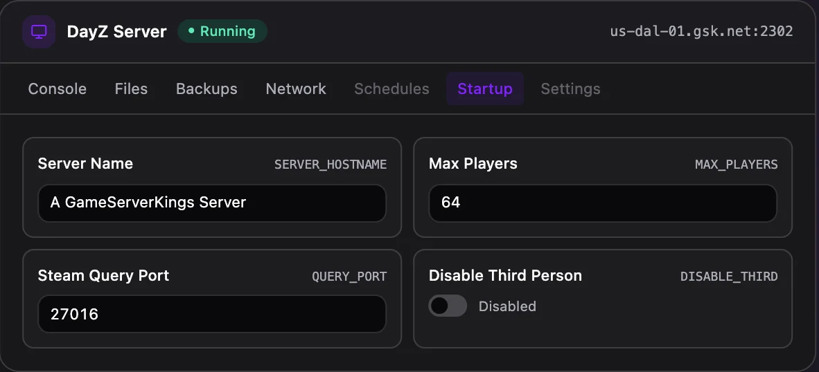 DayZ game panel — startup configuration