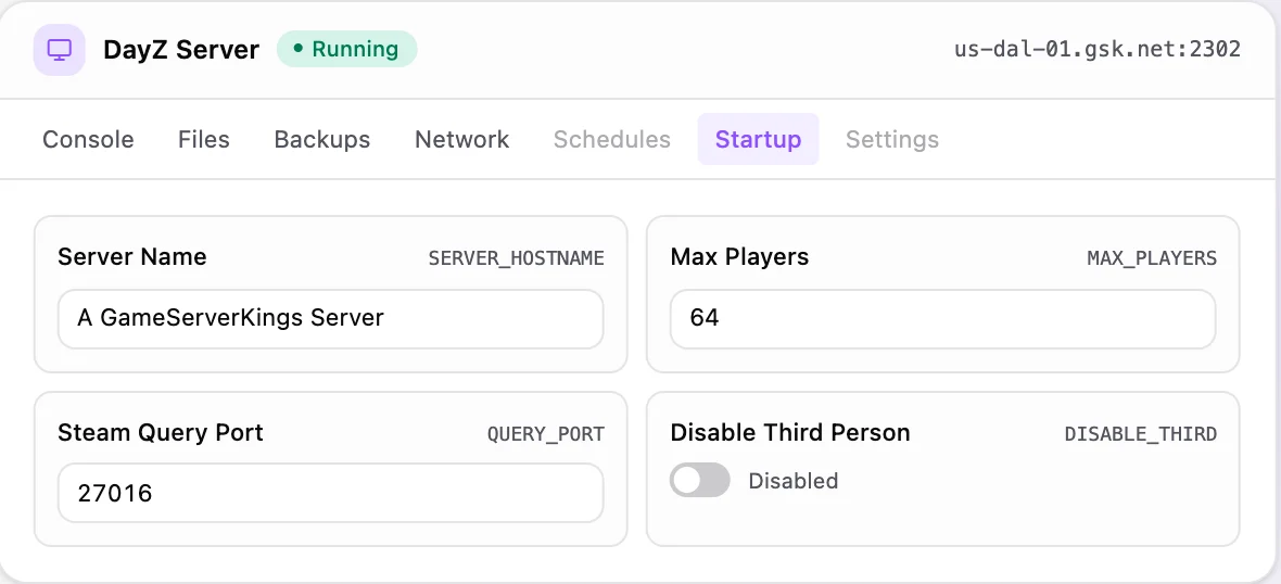 DayZ game panel — startup configuration