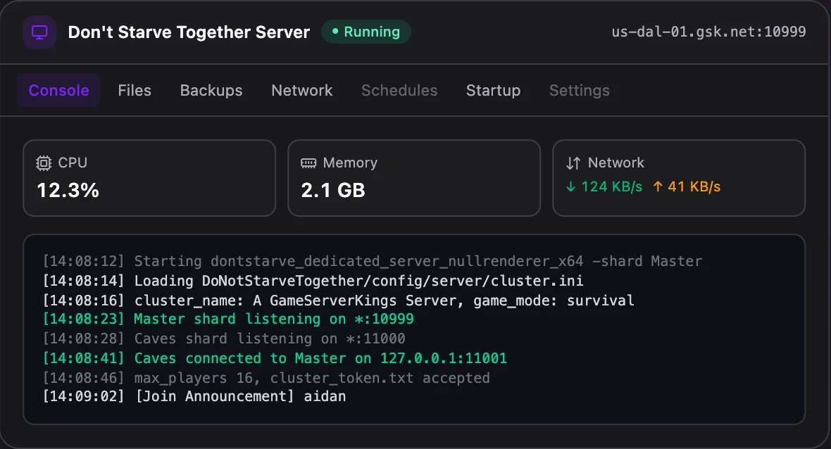 Don't Starve Together game panel — live server console