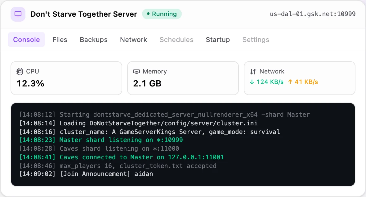 Don't Starve Together game panel — live server console