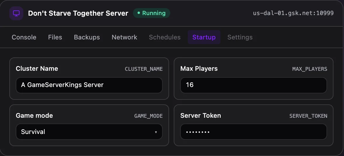 Don't Starve Together game panel — startup configuration