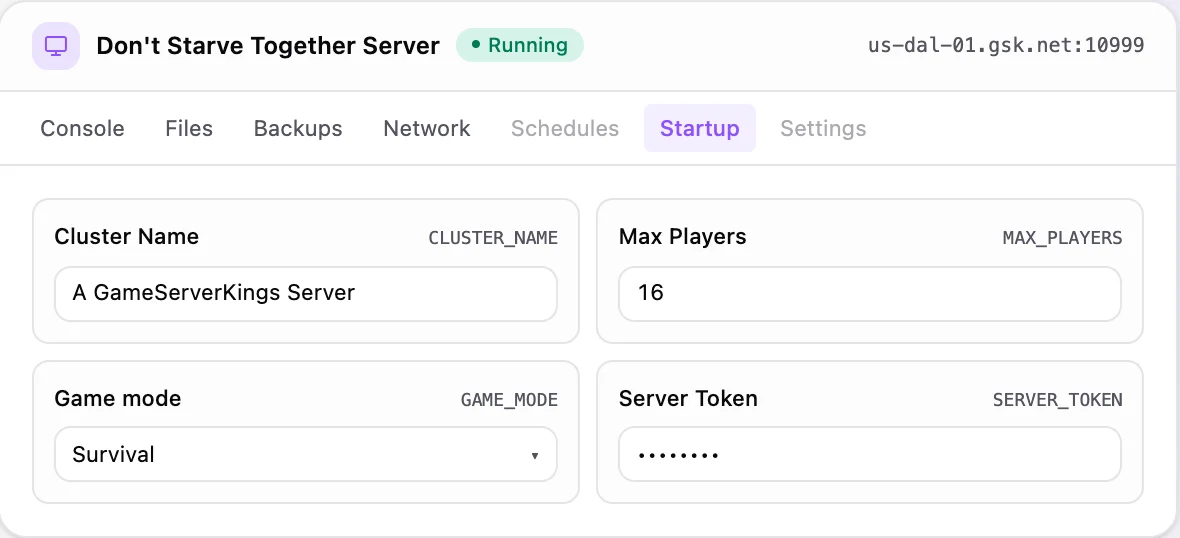 Don't Starve Together game panel — startup configuration