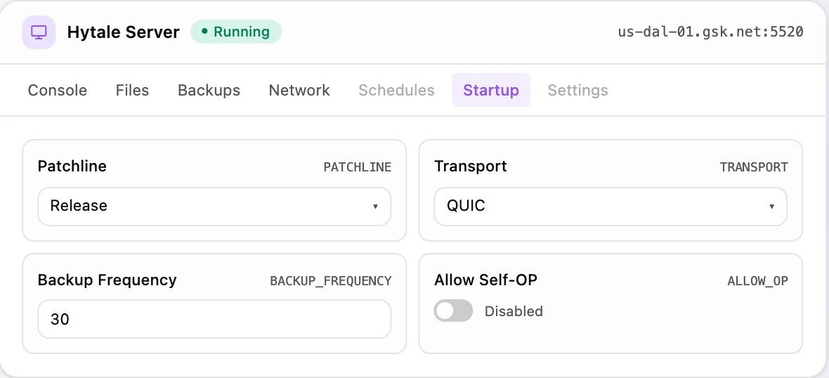 Hytale game panel — startup configuration