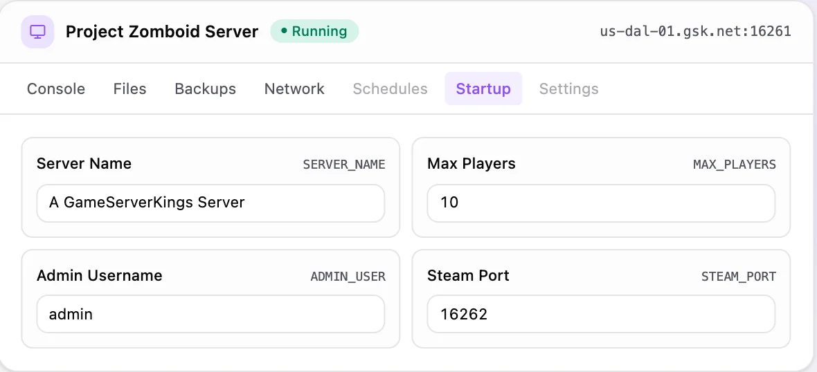 Project Zomboid game panel — startup configuration