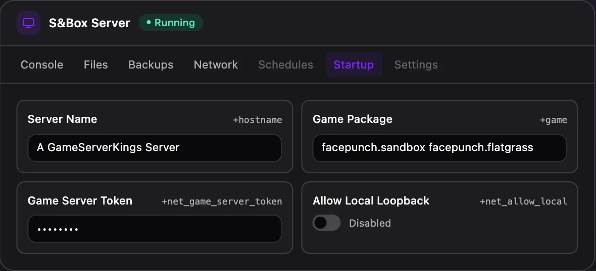 s&box game panel — startup configuration