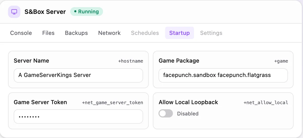 s&box game panel — startup configuration
