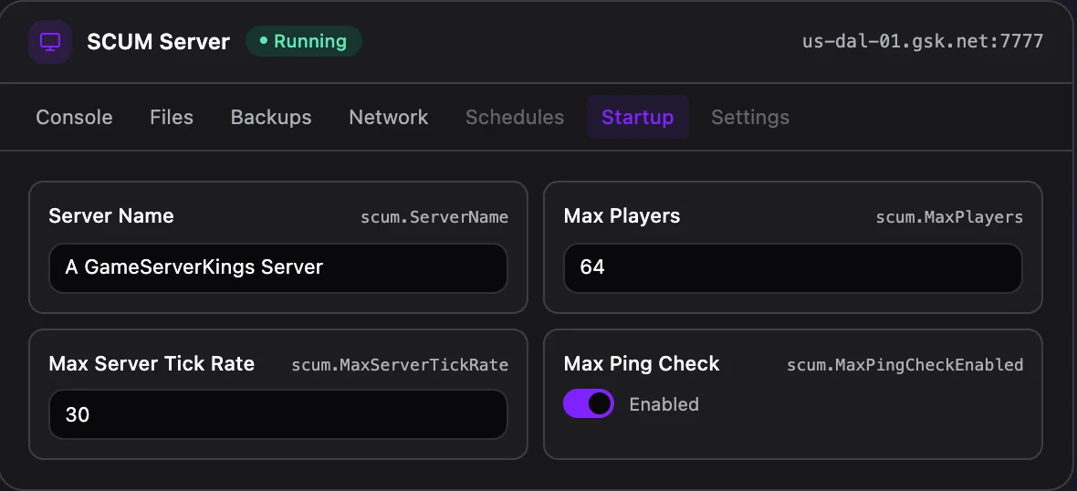 SCUM game panel — startup configuration