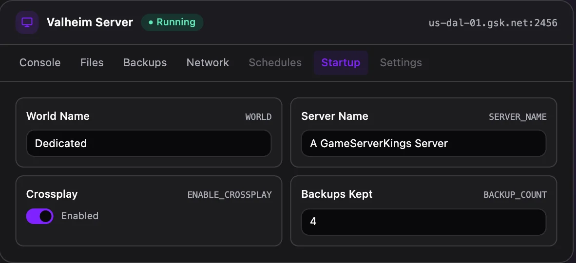 Valheim game panel — startup configuration