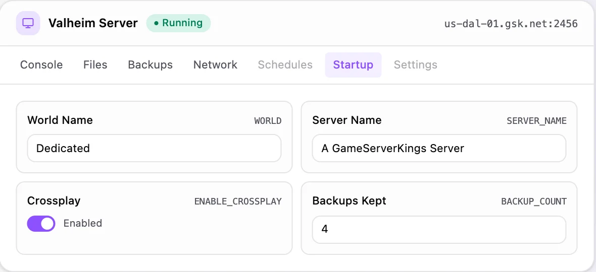 Valheim game panel — startup configuration