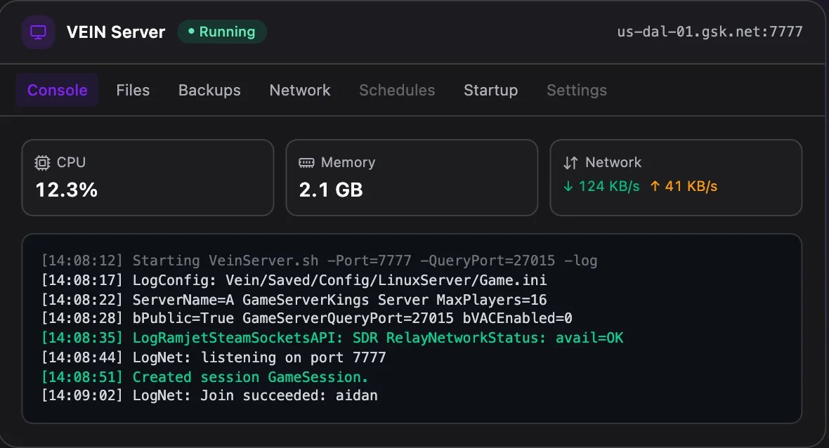 VEIN game panel — live server console