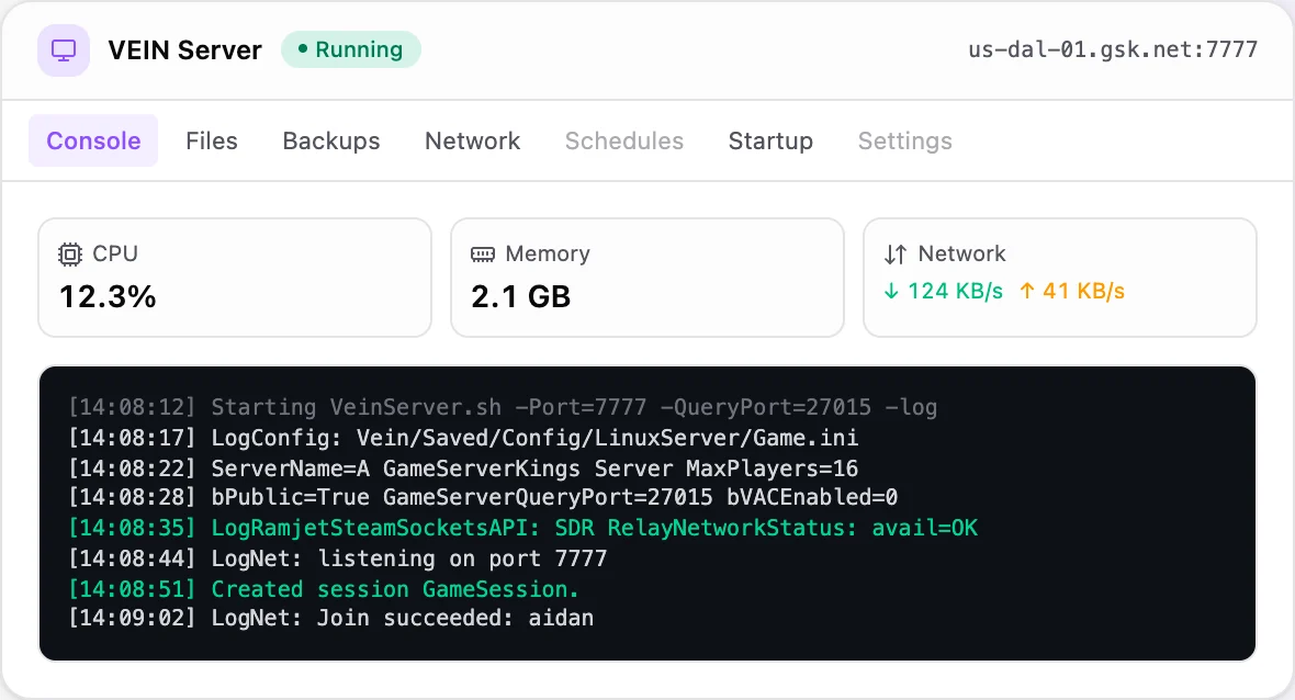 VEIN game panel — live server console