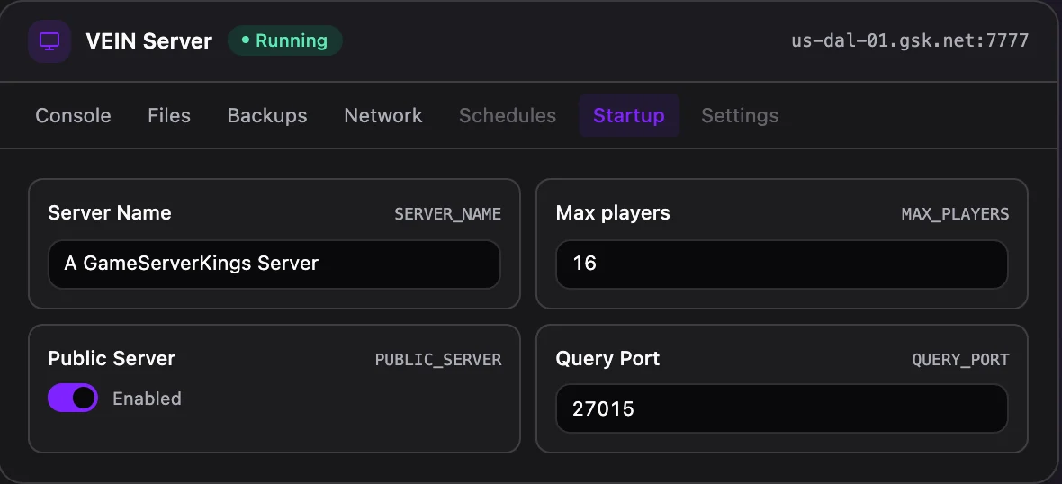VEIN game panel — startup configuration