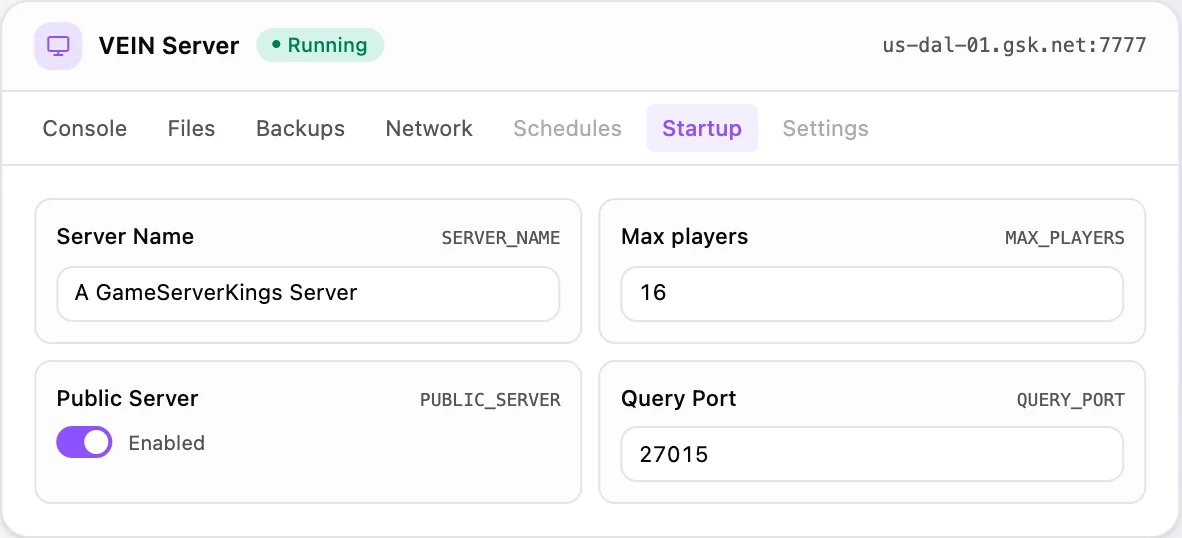 VEIN game panel — startup configuration