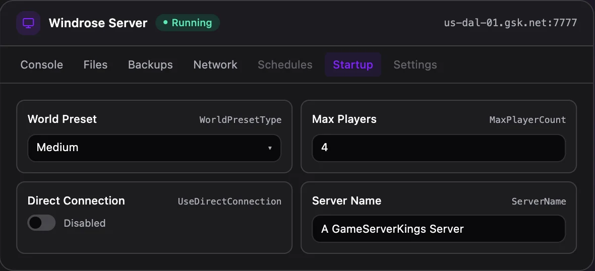 Windrose game panel — startup configuration