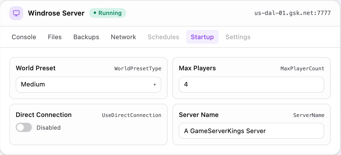 Windrose game panel — startup configuration